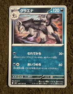 ポケモンカード グラエナ U（sv6 067/101）1進化 むれでかる おいつめる 変幻の仮面 1枚