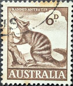 【外国切手】 オーストラリア 1959年04月08日 発行 動物-1 消印付き