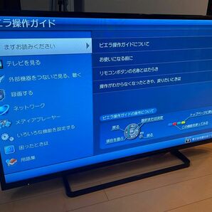 panasonic 液晶テレビ VIERA TH-42C300 42V型 純正リモコン・取説等付属