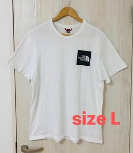 【人気モデル】THE NORTH FACE ボックスロゴ Tシャツ ホワイト Lサイズ