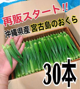 【30本】宮古島産　おくら　オクラ