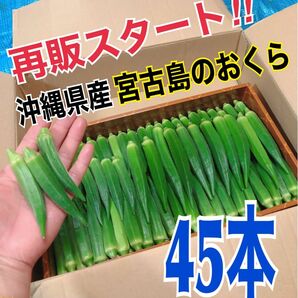 【45本】宮古島産　おくら　オクラ