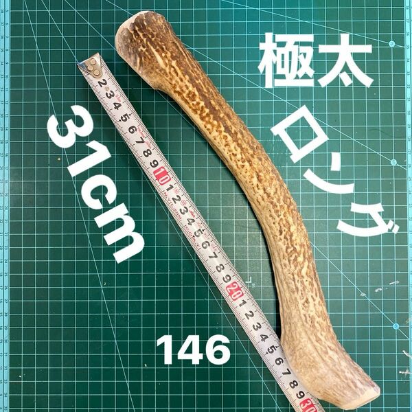 鹿の角　鹿のツノ　鹿角　鹿ツノ　シカツノ　蝦夷鹿　おもちゃ　角　犬用品　犬