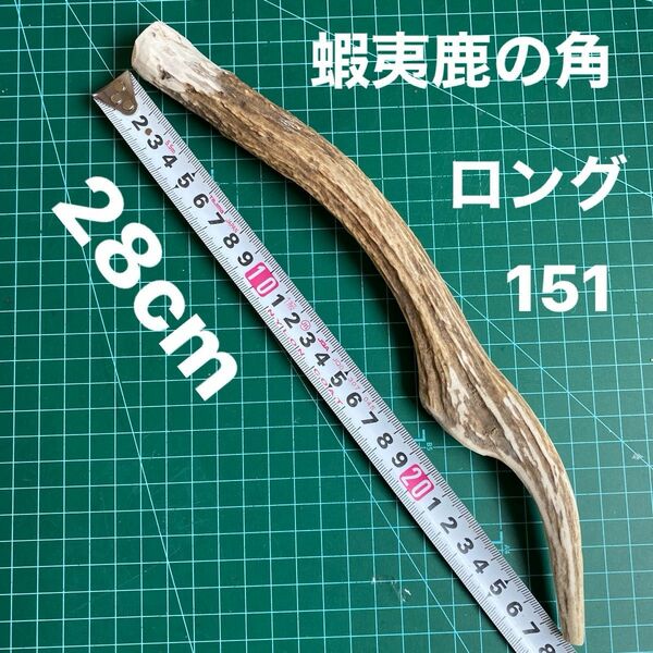 鹿の角　鹿のツノ　鹿角　鹿ツノ　シカツノ　蝦夷鹿　おもちゃ　角　犬用品　犬