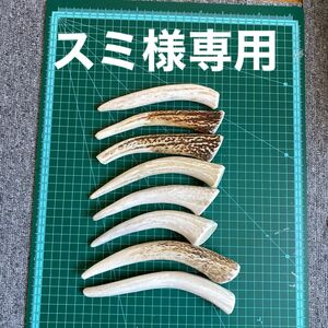 鹿の角　鹿のツノ　鹿角　鹿ツノ　シカツノ　蝦夷鹿　おもちゃ　角　犬用品　犬