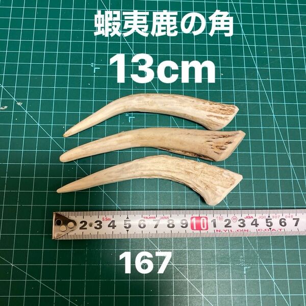 鹿の角　鹿のツノ　鹿角　鹿ツノ　シカツノ　蝦夷鹿　おもちゃ　角　犬用品　犬