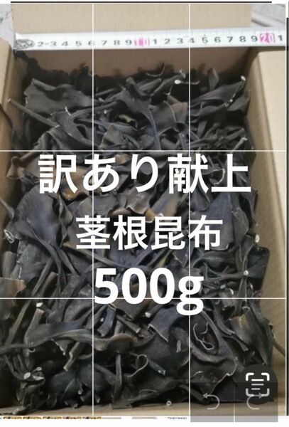 日高昆布　昆布　日髙　天然　北海道　根昆布　頭　茎　根昆布だし　だし　500g