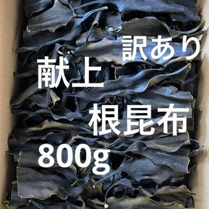 日高　昆布　日髙　北海道　根昆布　頭　根昆布だし　800g 