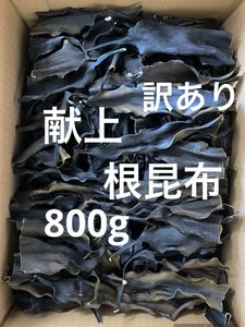 日高　昆布　日髙　北海道　根昆布　頭　根昆布だし　800g 