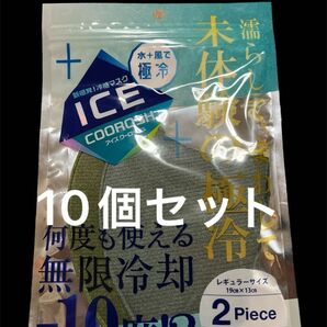 新品　新感覚　冷感マスク　アイスクーロッシュ　レギュラーサイズ　19cm×13cm 2ピース×10個