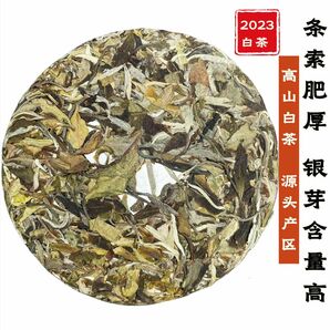 無量山古樹白茶200g 花と果実の香り