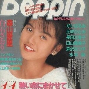 Ｂｅｐｐｉｎ ［ベッピン］　１９８９年１１月号