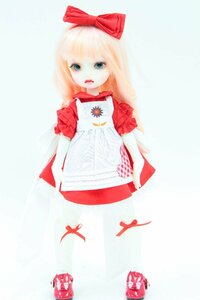 BJD/Ball-jointed Doll/球体関節人形 1/6 可動ドール/人形 ＊ #7255