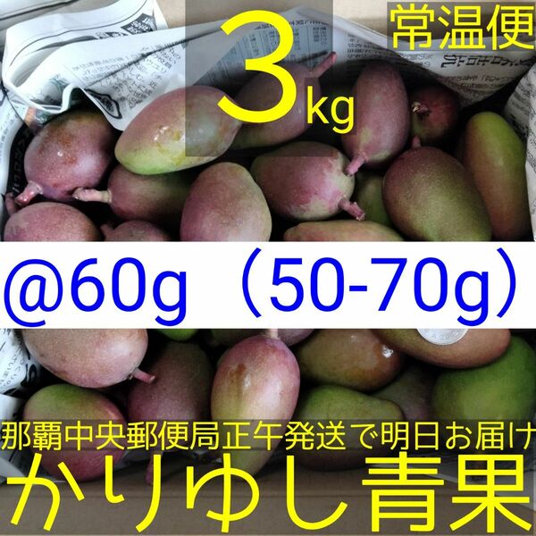 〈@60g 50-70g〉沖縄県産 摘果マンゴー/青マンゴー約３kg【常温便無料】①