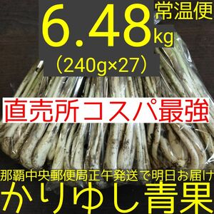 〈直売所コスパ最強〉沖縄県産　Ｗさんの島らっきょう6.48kg以上【常温便無料】①