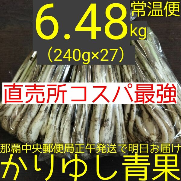 〈直売所コスパ最強〉沖縄県産　Ｗさんの島らっきょう6.48kg以上【常温便無料】①