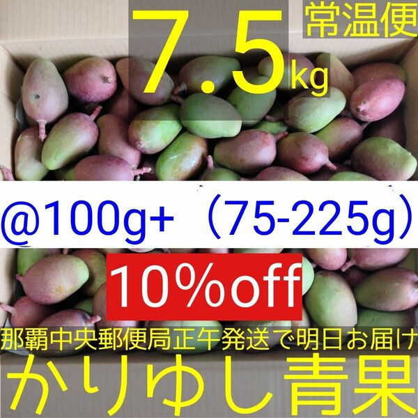 【10％off】〈@100g 75-125g〉沖縄県産 摘果マンゴー/青マンゴー約7.5kg【常温便無料】⑤