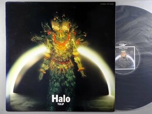 J-POP■チューリップ│Tulip■ハロー│Halo■東芝EMI│ETP-90227■1983年│定価2300円■管理15988