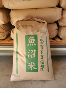 令和5年南魚沼産コシヒカリ　しおざわ地区　お米　30kg　玄米 新潟産　最高品種