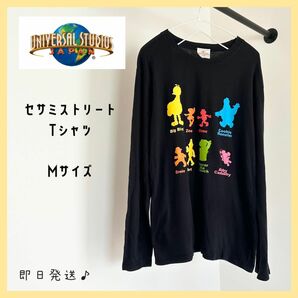 【即日発送】USJ セサミストリート　Tシャツ　ユニバ　ロンT 限定