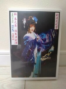 劇団花吹雪　座長桜春之丞　平成23年誕生日公演DVD