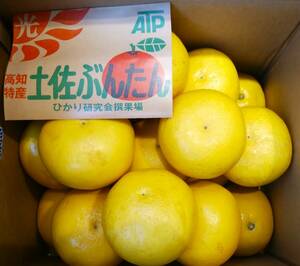 [ Kochi prefecture production ] earth . pomelo 2L approximately 10kg