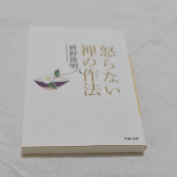 怒らない禅の作法 （河出文庫　ま１４－２） 枡野俊明／著