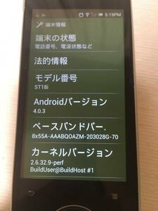 sony xperia Ray so-03c Ver.4.03 シムフリー　おまけ付き