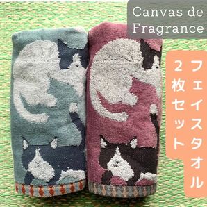 新品【Canvas de Fragrance 】フェイスタオル2枚　ねこ柄　高級 センコー