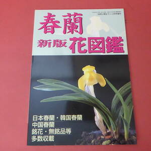 YN5-240508☆新版 春蘭花図鑑　　「自然と野生ラン」2月号増刊 2006年