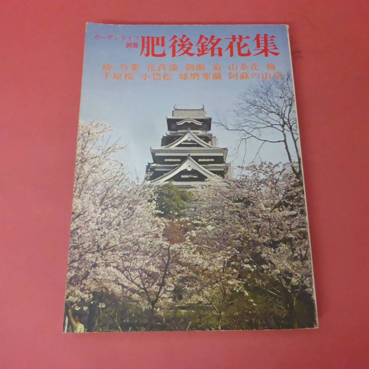 2025年最新】Yahoo!オークション -ガーデンライフ別冊(本、雑誌