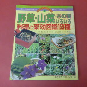 YN1-240509☆野草・山菜・木の実いろいろ　料理と薬効図鑑159種