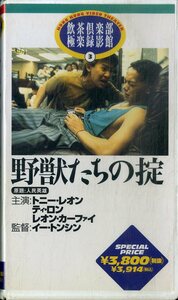 H00020518/VHSビデオ/トニー・レオン「野獣たちの掟」