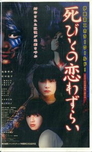 H00015778/VHSビデオ/松田龍平「死びとの恋わずらい」