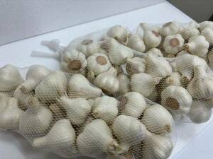 1 jpy ~ Kochi production new garlic approximately 3 kilo 