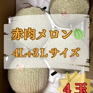 宮崎産『赤肉メロン』3L+4Lサイズ（4玉入り）メロン 果物 送料無料 贈答用