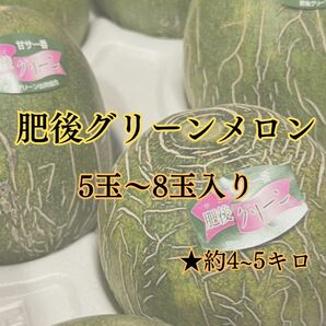 ★美味しくて甘い★『肥後グリーンメロン』（5～8玉入り）家庭用　果物 送料無料