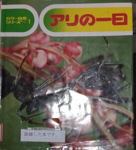 ◇☆偕成社!!!◇☆カラー自然シリーズ１◇☆「アリの一日」 ◇☆七尾純／構成・文　栗林慧／写真◇*除籍本◇☆Ｐｔクーポン消化に!!