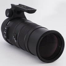 SIGMA シグマ 超望遠ズームレンズ APO 150-500mm F5-6.3 DG OS HSM キヤノン EFマウント用 フルサイズ対応 737542 #9706_画像9