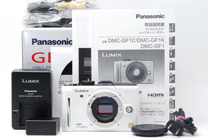 Panasonic