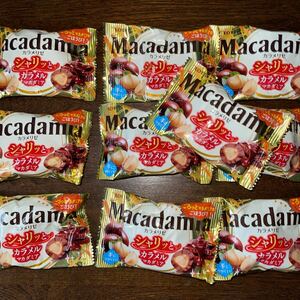  Lotte macadamia шоколад ka ламе Rize 10 пакет комплект товар 