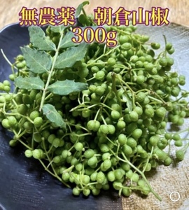 .. length! Hyogo prefecture production less pesticide morning . zanthoxylum fruit. real 300g