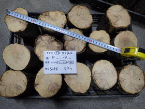 産卵木　ナラ　14本　ＮＯ、5184　約 5.3ｋｇ　100サイズ　☆奈良県ＰＯＷＥＲ☆