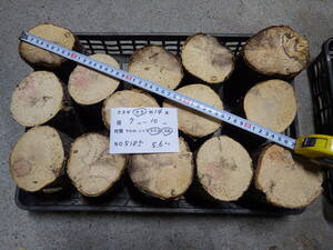 産卵木　ナラ　14本　ＮＯ、5185　約 5.6ｋｇ　100サイズ　☆奈良県ＰＯＷＥＲ☆