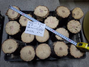 производство яйцо дерево ...16шт.@NO,5192 примерно 6.0kg 100 размер * Nara префектура POWER*