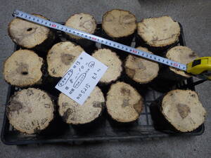  производство яйцо дерево ...*nala13шт.@NO,5215 примерно 5.3kg 100 размер * Nara префектура POWER*