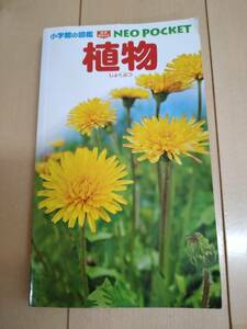  Shogakukan Inc.. illustrated reference book Neo pocket plant NEO POCKET* secondhand goods. 