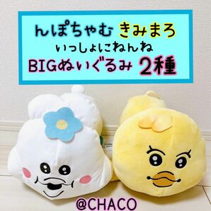 んぽちゃむ いっしょにねんね BIGぬいぐるみ きみまろ 2種セット