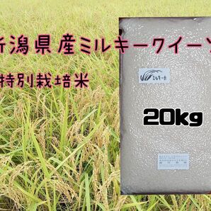 特別栽培米新潟県産ミルキークイーン20k