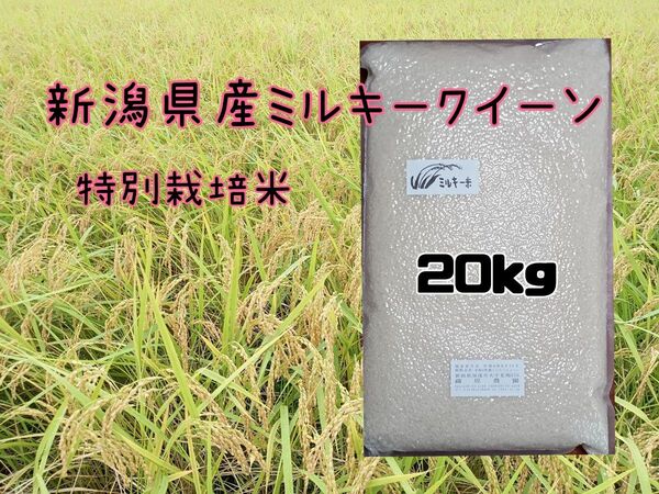 特別栽培米新潟県産ミルキークイーン20k